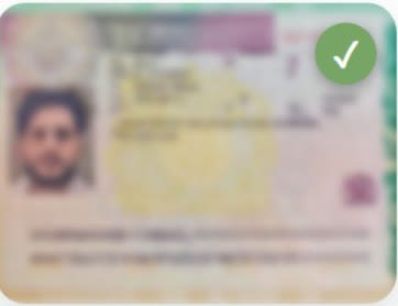 Student visa approval, document blurred for privacy